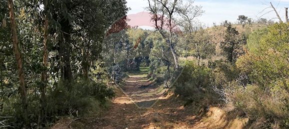 Casa de 3 dormitorios en Santa Margarida da Coutada, Portugal No. 25527 4