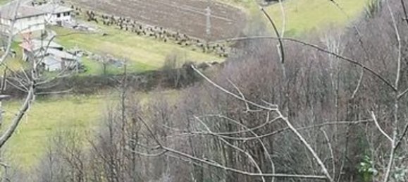 10 rooms House in Udine, Italy No. 81572 18