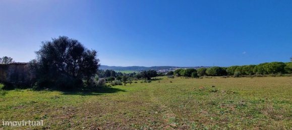 Terreno en Odiaxere, Portugal 35020 m² No. 128495 15