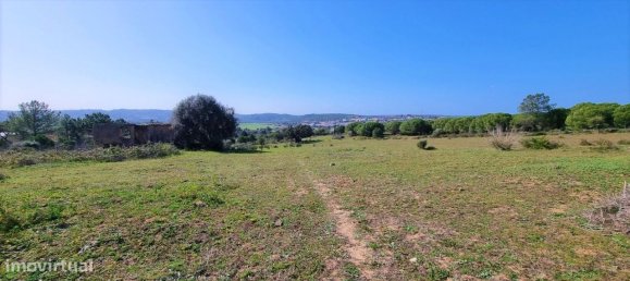 Terreno en Odiaxere, Portugal 35020 m² No. 128495 12