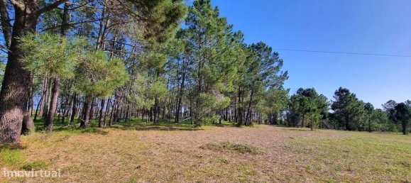 Terreno en Odiaxere, Portugal 35020 m² No. 128495 5