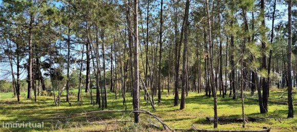 Terreno en Odiaxere, Portugal 35020 m² No. 128495 2