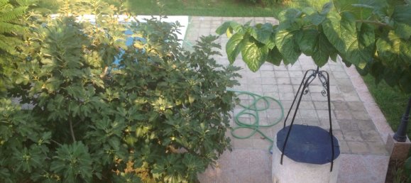 Casa de 4 dormitorios en Castellón de la Plana, Spain No. 146536 19