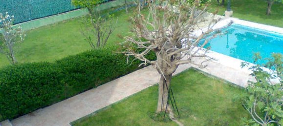 Casa de 4 dormitorios en Castellón de la Plana, Spain No. 146536 6