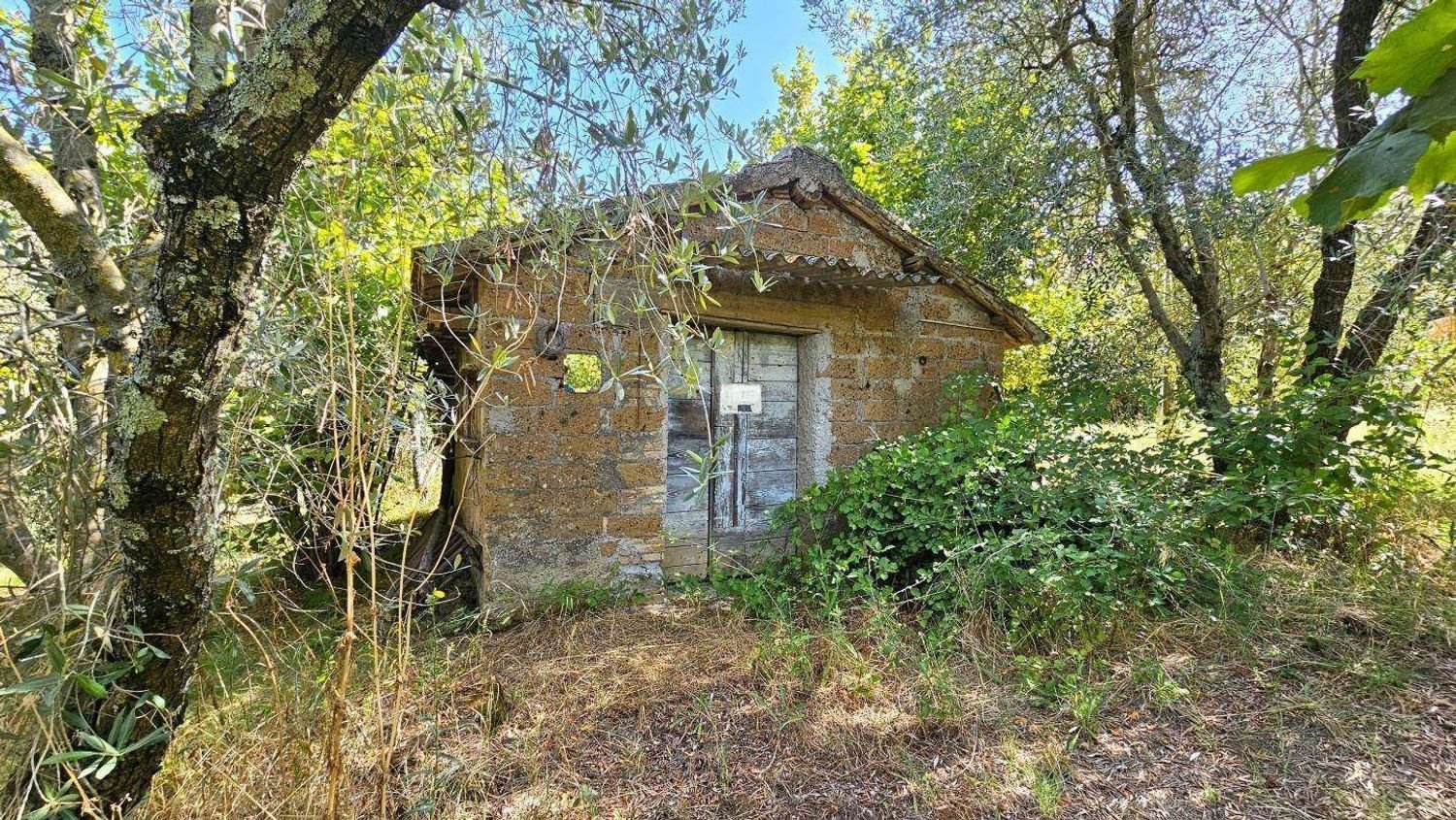 1 chambre Maison à Soriano nel Cimino, Italy No. 403254