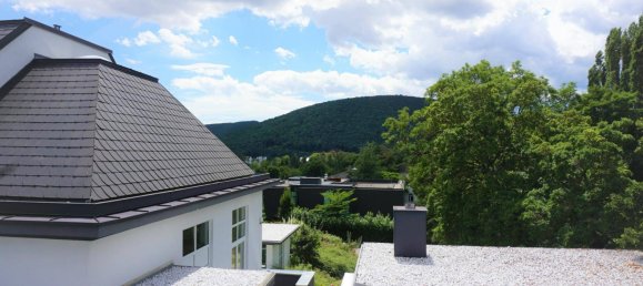 7غرفة فيلا في Hinterbruhl, Austria رقم 96271 2