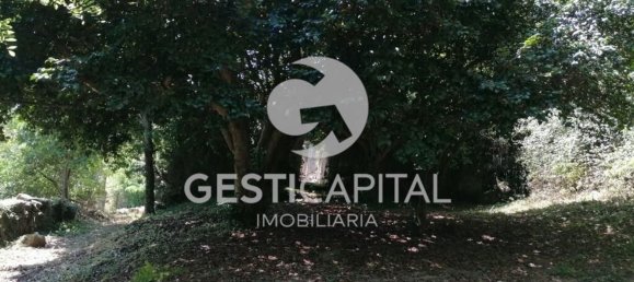 Дом с 4 спальнями в Марку ди Канавезиш, Португалия № 39565 21