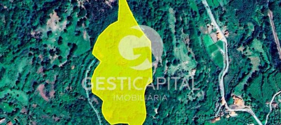 Дом с 4 спальнями в Марку ди Канавезиш, Португалия № 39565 27