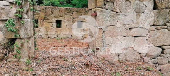 Дом с 4 спальнями в Марку ди Канавезиш, Португалия № 39565 9