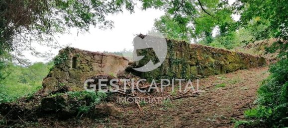 Дом с 4 спальнями в Марку ди Канавезиш, Португалия № 39565 12