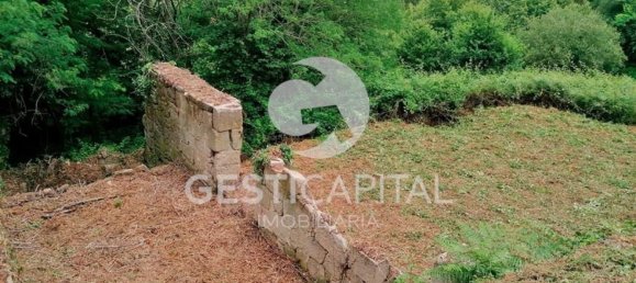 Дом с 4 спальнями в Марку ди Канавезиш, Португалия № 39565 4