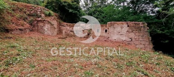 Дом с 4 спальнями в Марку ди Канавезиш, Португалия № 39565 8