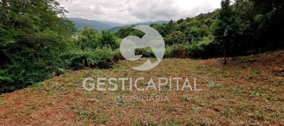 Дом с 4 спальнями в Марку ди Канавезиш, Португалия № 39565 6