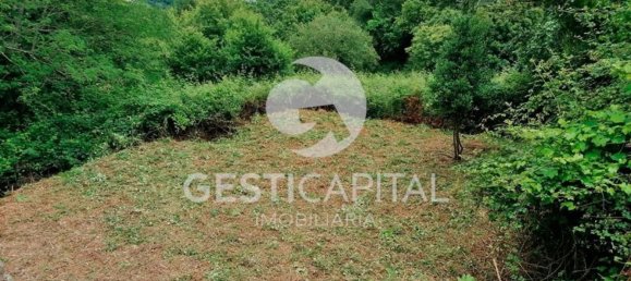 Дом с 4 спальнями в Марку ди Канавезиш, Португалия № 39565 5