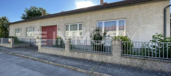 5-Zimmer Haus in Haringsee, Austria, Nr. 127297 3