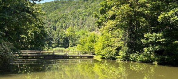 4 rooms Bungalow in Seefeld-Kadolz, Austria No. 158643 16