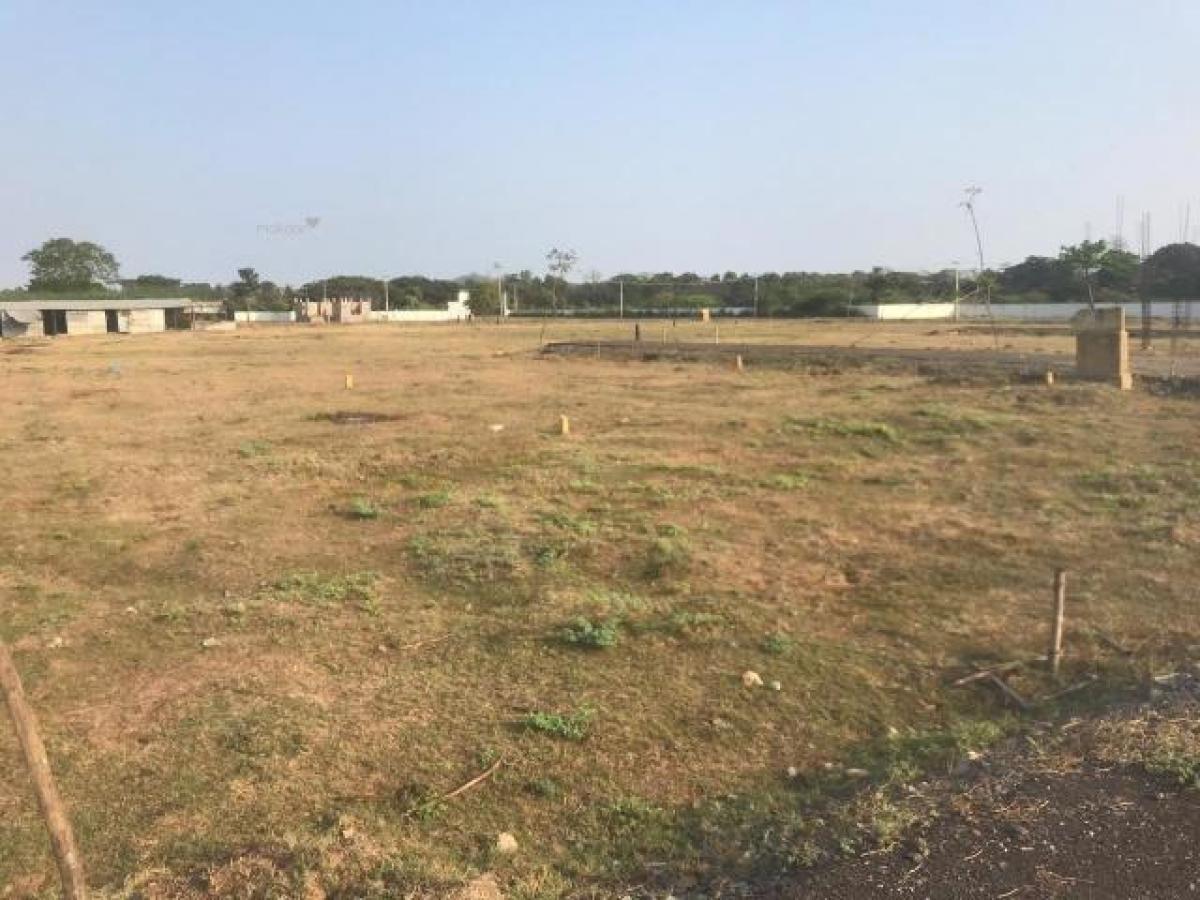 Grundstück in Chennai, India, Nr. 37775