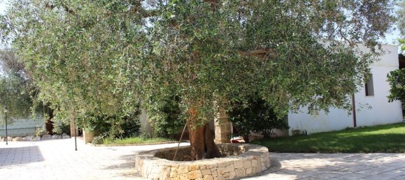 Edificio en Leverano, Italy 18500 m² No. 103349 25