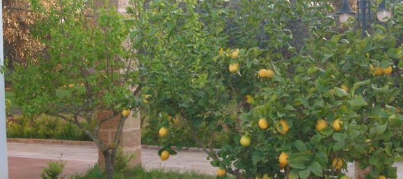 Edificio en Leverano, Italy 18500 m² No. 103349 32