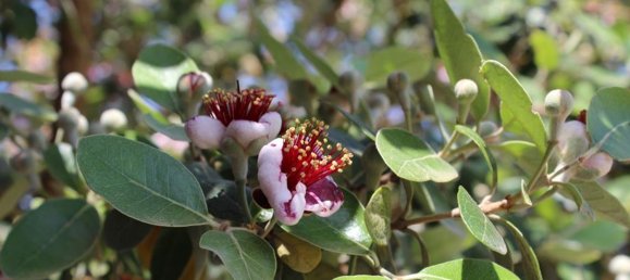 Edificio en Leverano, Italy 18500 m² No. 103349 24