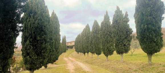 5 bedrooms House in Castelnuovo di Val di Cecina, Italy No. 145263 5