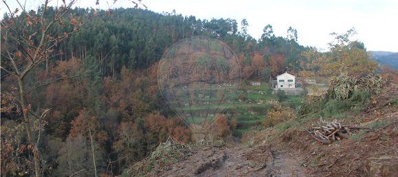 10538m² Land in Rossas, Portugal No. 35811 6