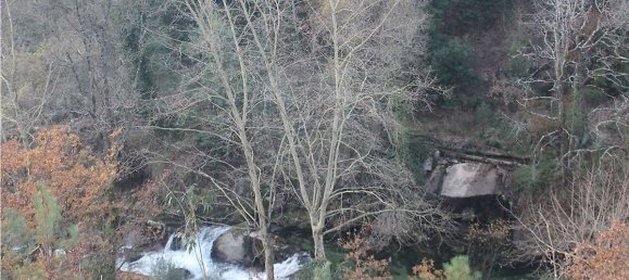 10538m² Land in Rossas, Portugal No. 35811 16