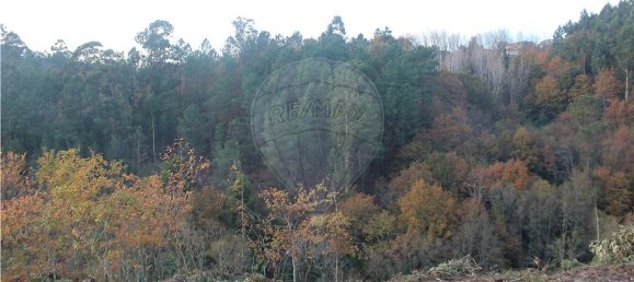 10538m² Land in Rossas, Portugal No. 35811 2