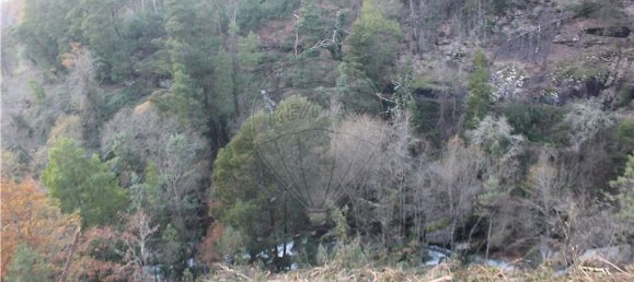 10538m² Land in Rossas, Portugal No. 35811 7