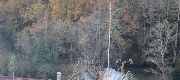 10538m² Land in Rossas, Portugal No. 35811 19