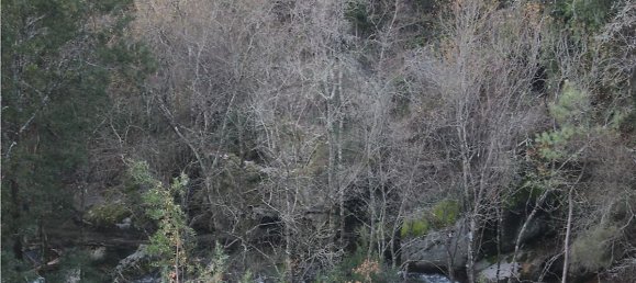 10538m² Land in Rossas, Portugal No. 35811 8