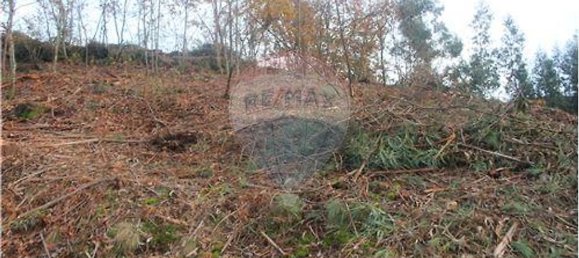 10538m² Land in Rossas, Portugal No. 35811 11