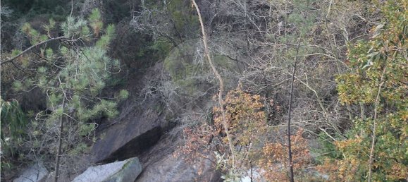 10538m² Land in Rossas, Portugal No. 35811 9