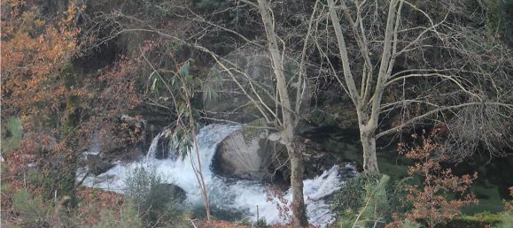 10538m² Land in Rossas, Portugal No. 35811 15