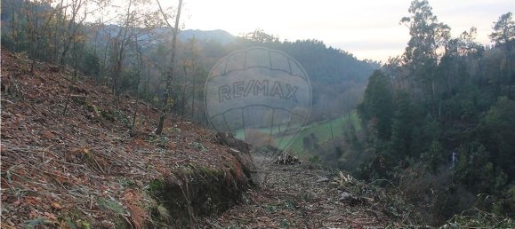 10538m² Land in Rossas, Portugal No. 35811 14