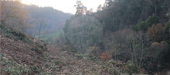 10538m² Land in Rossas, Portugal No. 35811 18