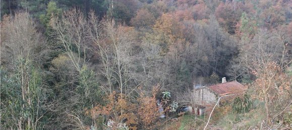 10538m² Land in Rossas, Portugal No. 35811 10