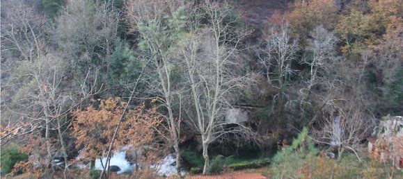 10538m² Land in Rossas, Portugal No. 35811 12