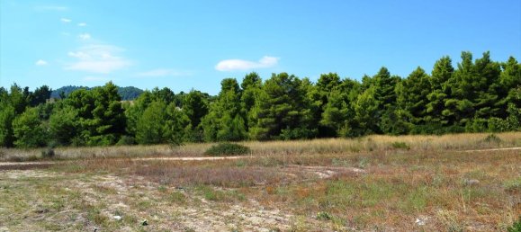 Hotel en Chalkidiki, Greece 15500 m² No. 6979 7