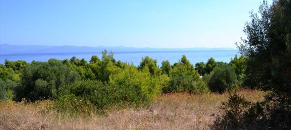 Hotel en Chalkidiki, Greece 15500 m² No. 6979 8