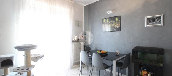 2 rooms Apartment in Magenta, Italy No. 2411 4