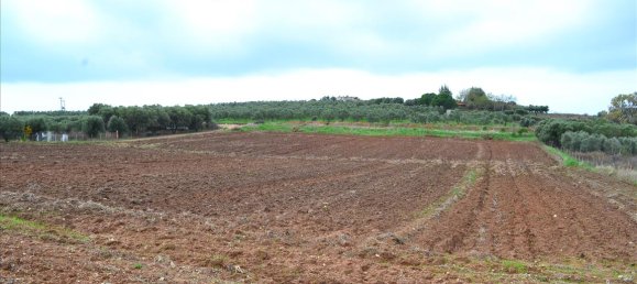 7800m² Hotel in Chalkidiki, Greece No. 7527 2