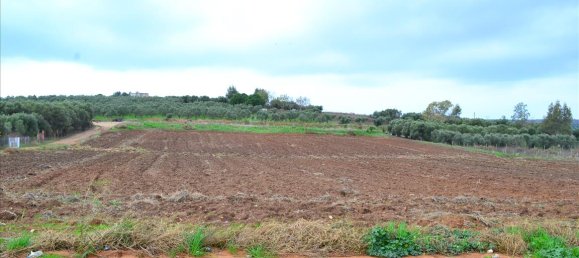 7800m² Hotel in Chalkidiki, Greece No. 7527 4