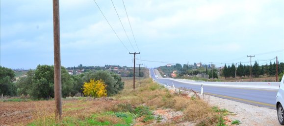 7800m² Hotel in Chalkidiki, Greece No. 7527 5