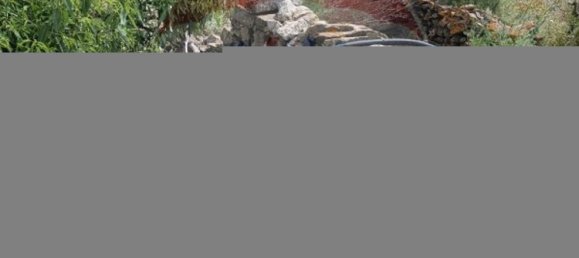 2 bedrooms House in Tavira, Portugal No. 25848 3