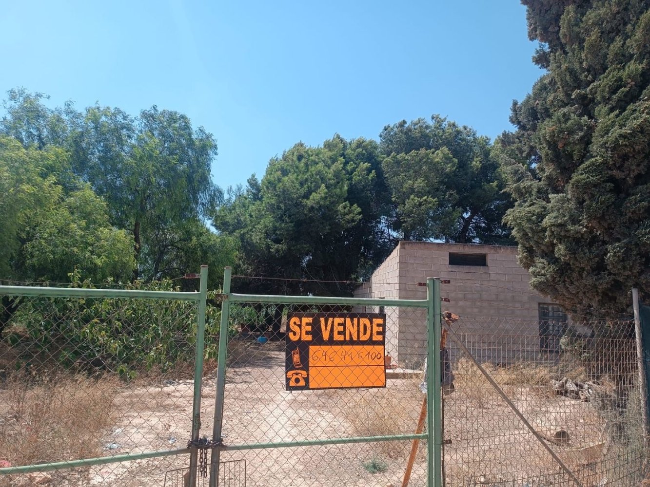  Land in Torre-Pacheco, Spain No. 205961