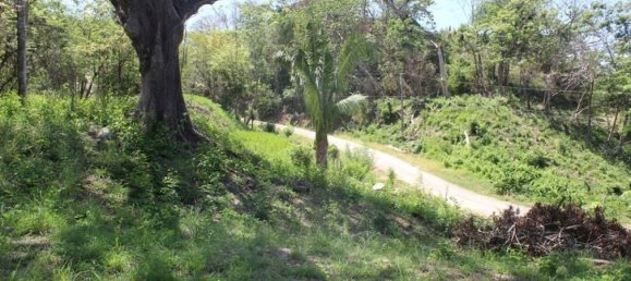  Land in Nicoya, Costa Rica No. 1590 5