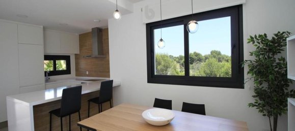 2 bedrooms Apartment in Pilar de la Horadada, Spain No. 10363 10