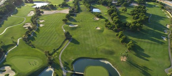 2 bedrooms Apartment in Pilar de la Horadada, Spain No. 10363 20