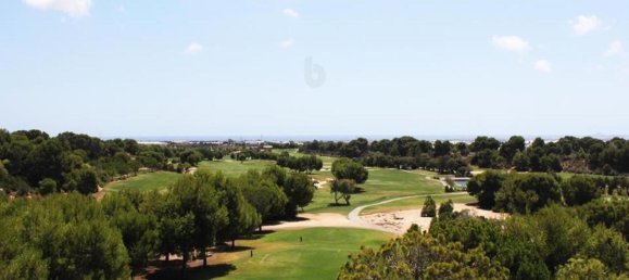 2 bedrooms Apartment in Pilar de la Horadada, Spain No. 10363 19